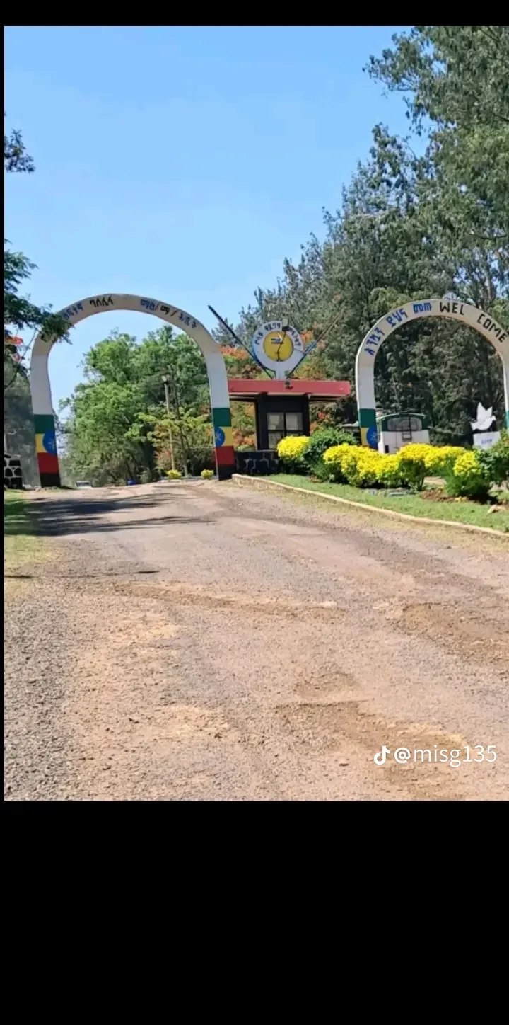 0966 8367 47