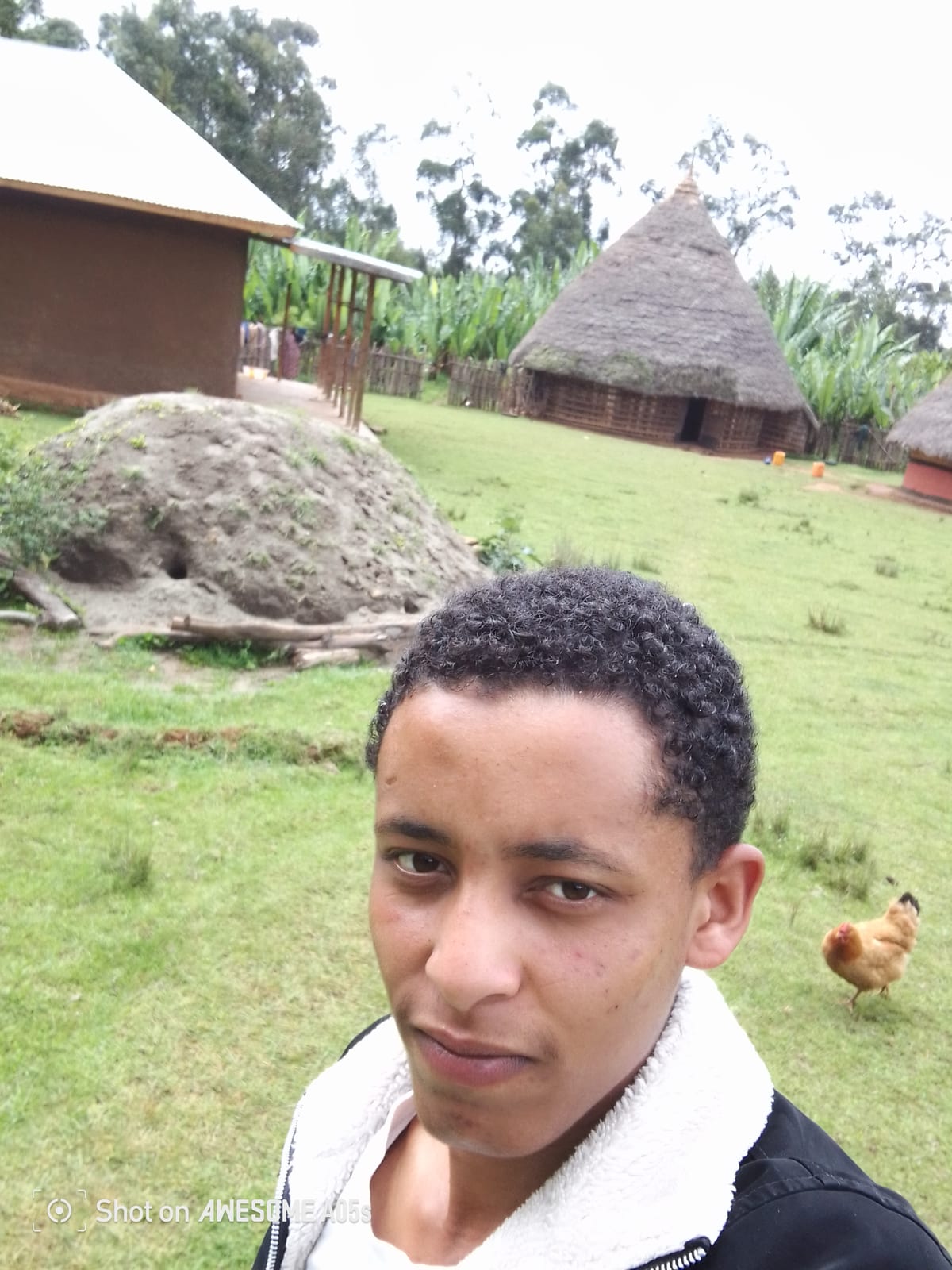 የስልክ ቻርጀሮች