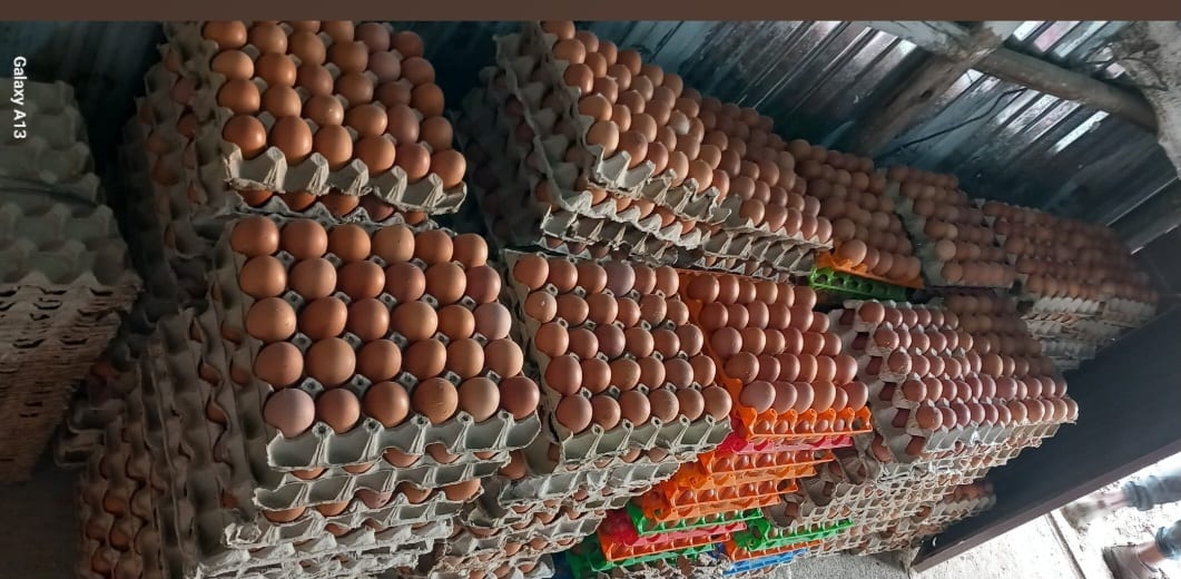 Egg