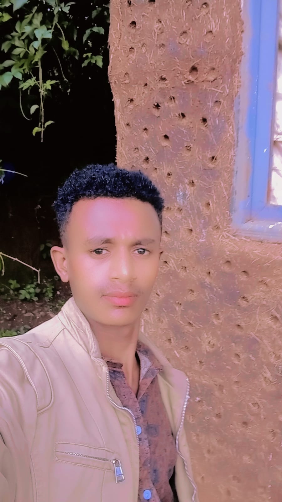 Mudesir