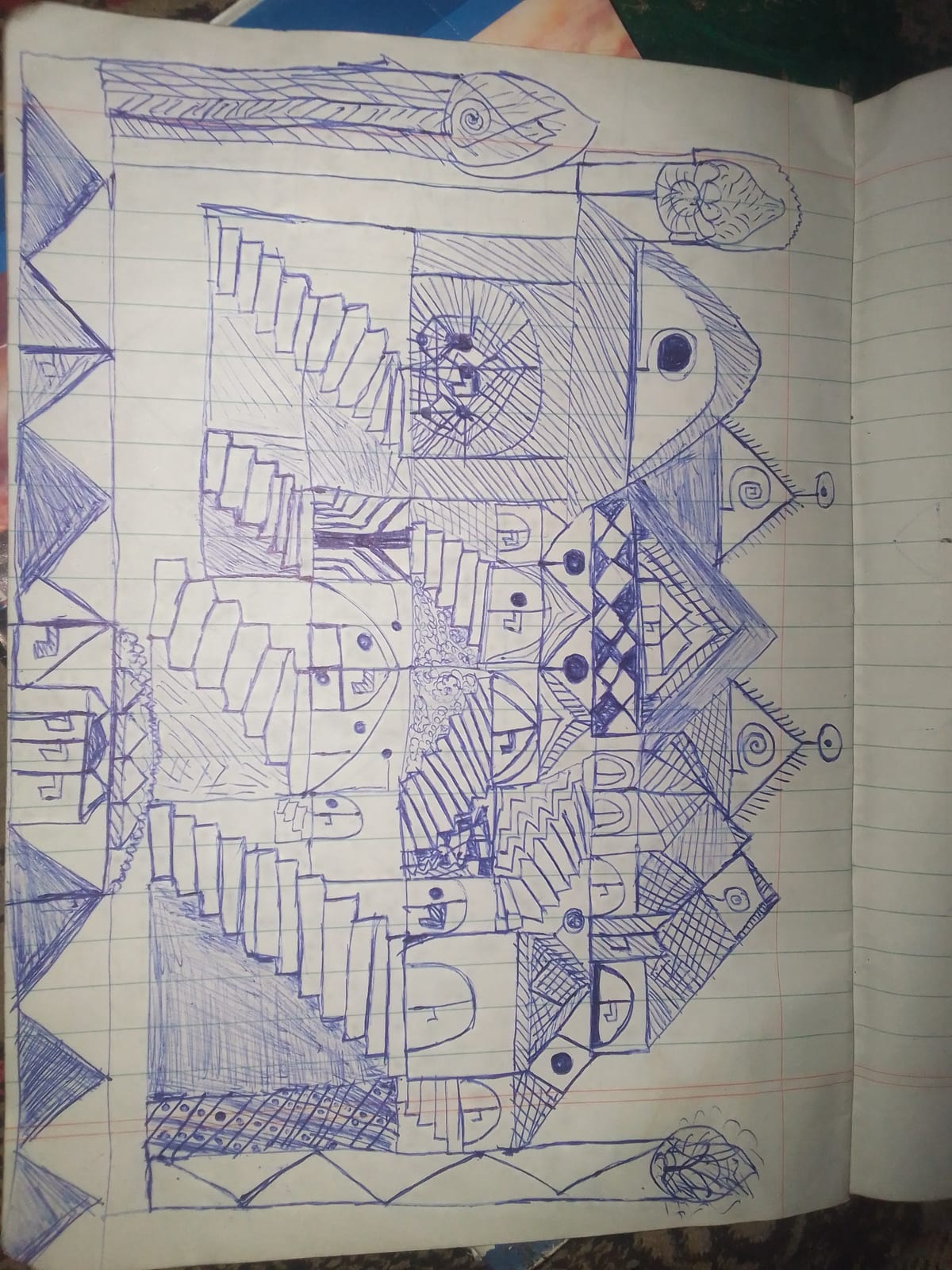 Drass book